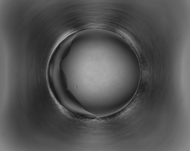 X0000088461050200705221338