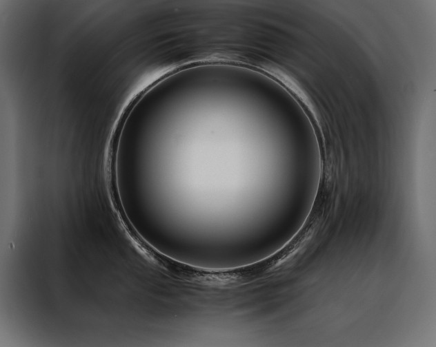 X0000088461053200705221339