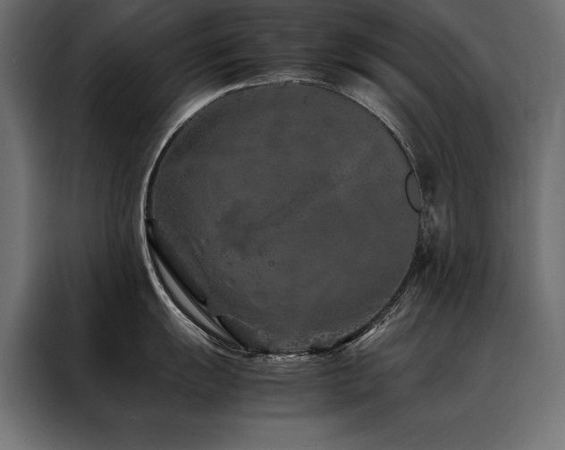 X0000088461055200705221339