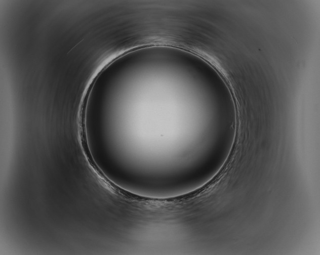 X0000088461056200705221339