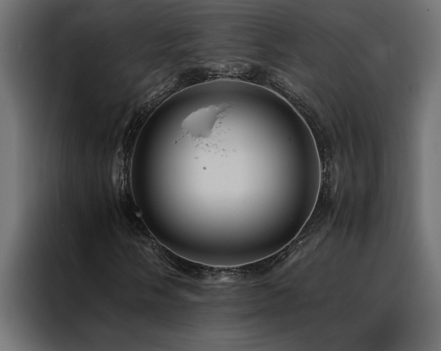 X0000088461058200705221338