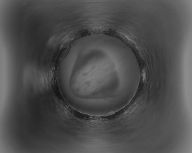 X0000088461059200705221338