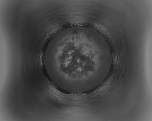 X0000088461060200705221338