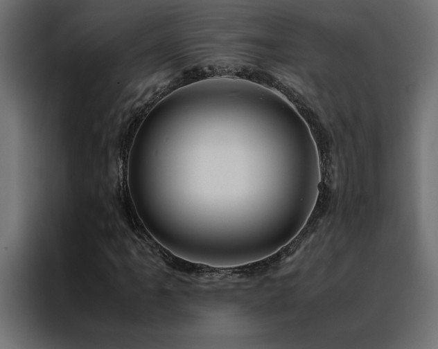 X0000088461061200705221338