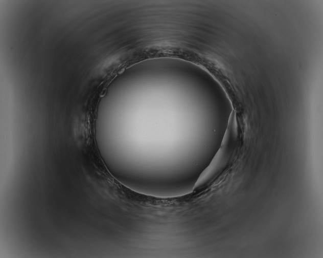X0000088461062200705221338