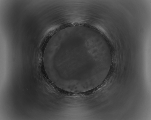 X0000088461063200705221338