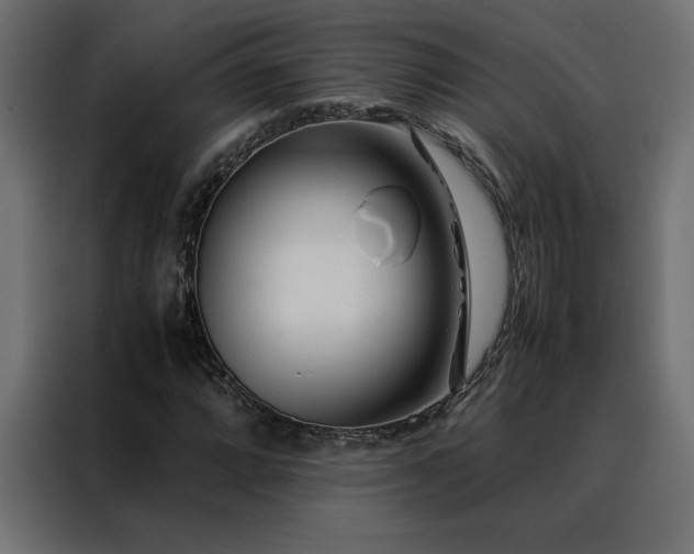 X0000088461064200705221338