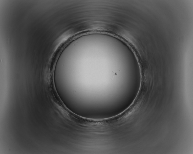 X0000088461067200705221338