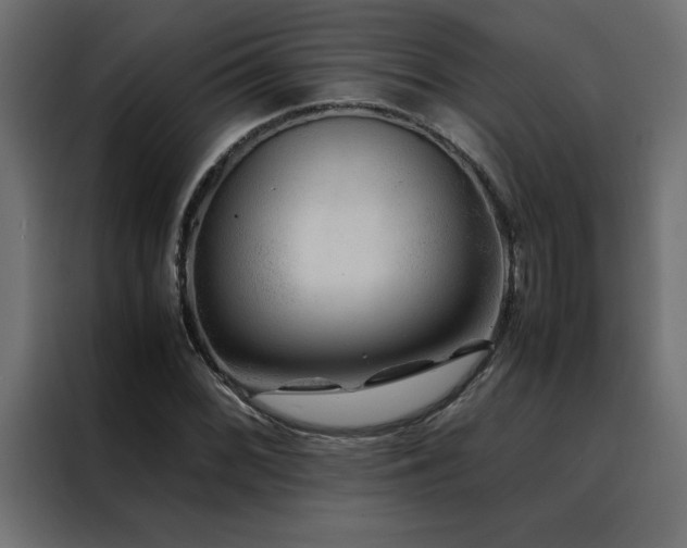 X0000088461068200705221338