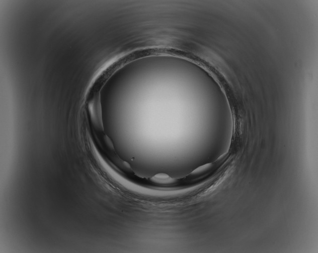 X0000088461069200705221338