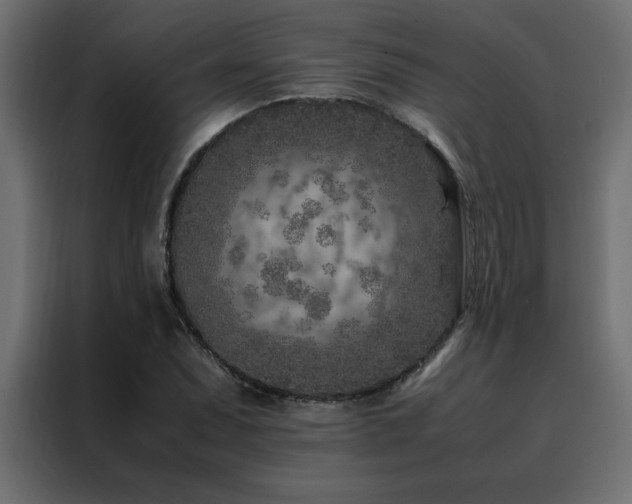 X0000088461071200705221338
