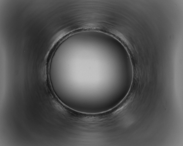 X0000088461075200705221338