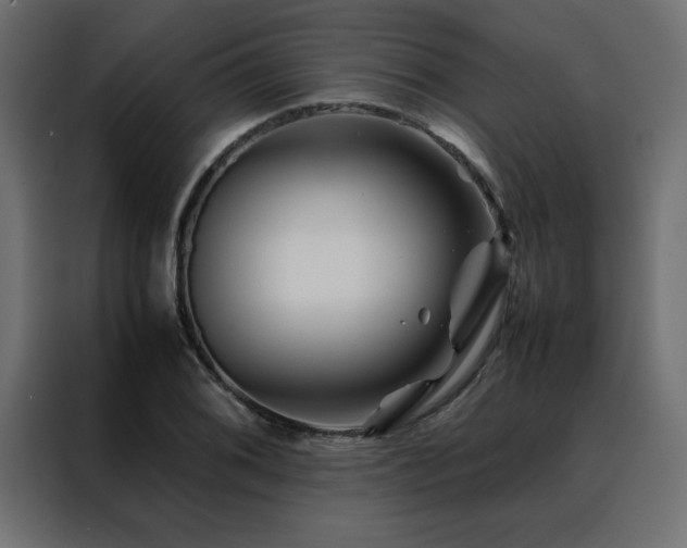 X0000088461076200705221338