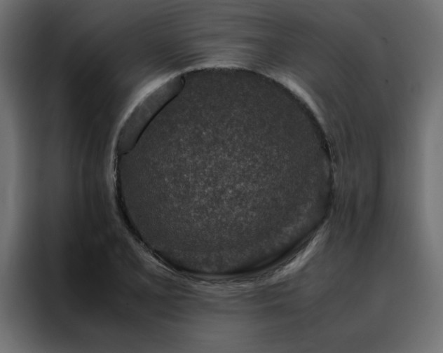 X0000088461077200705221338