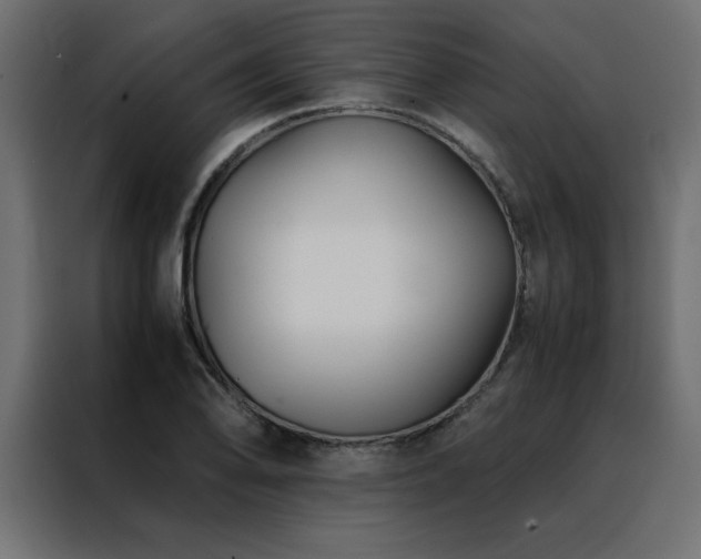 X0000088461078200705221338