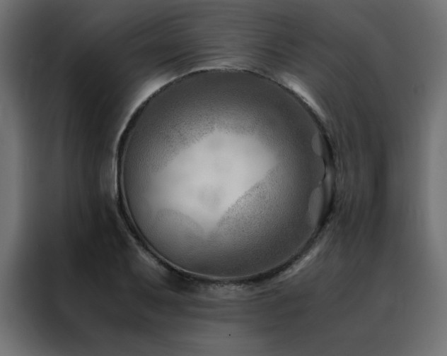 X0000088461079200705221338