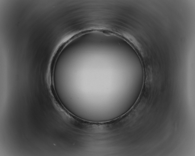 X0000088461080200705221338