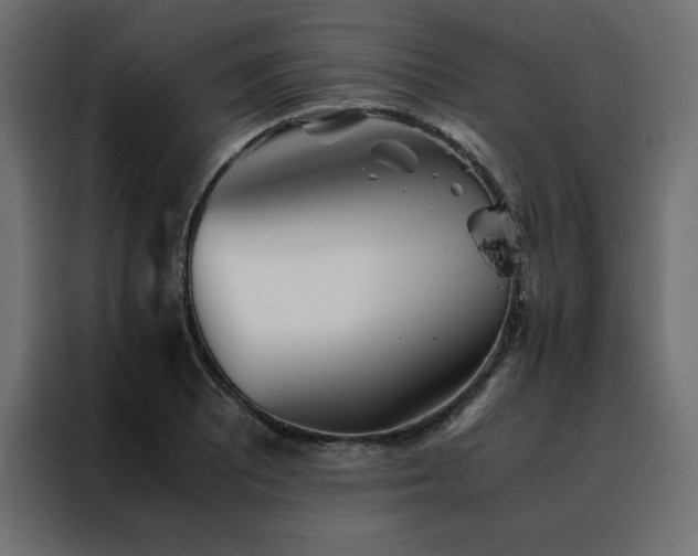 X0000088461081200705221338