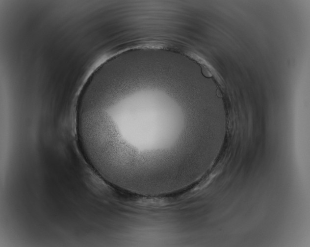 X0000088461083200705221338