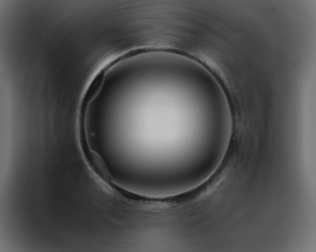 X0000088461085200705221338