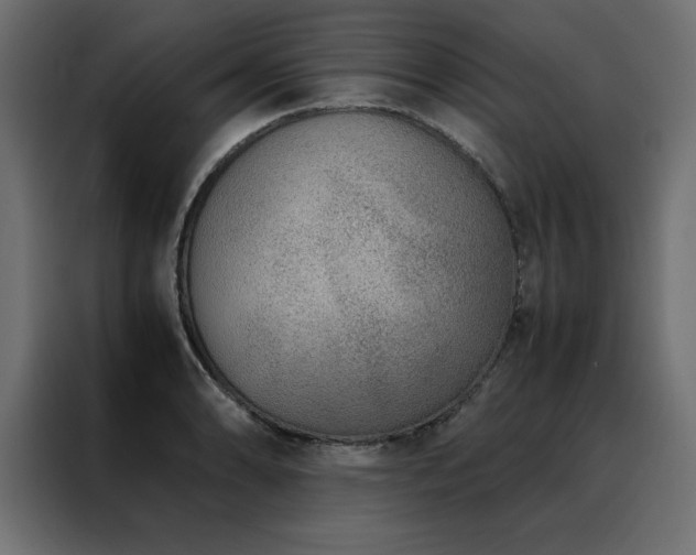 X0000088461086200705221338