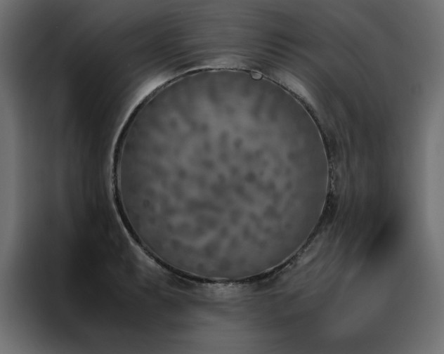 X0000088461087200705221338