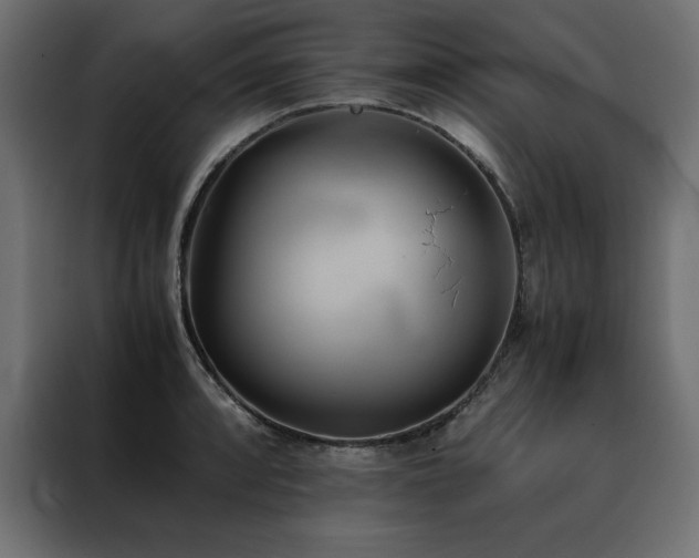 X0000088461088200705221338