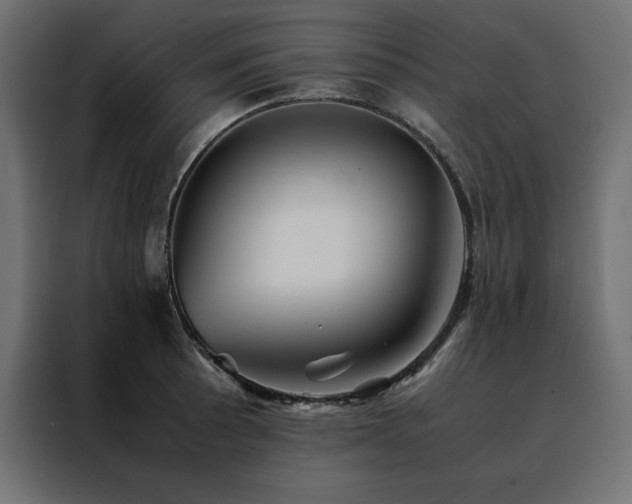 X0000088461089200705221338