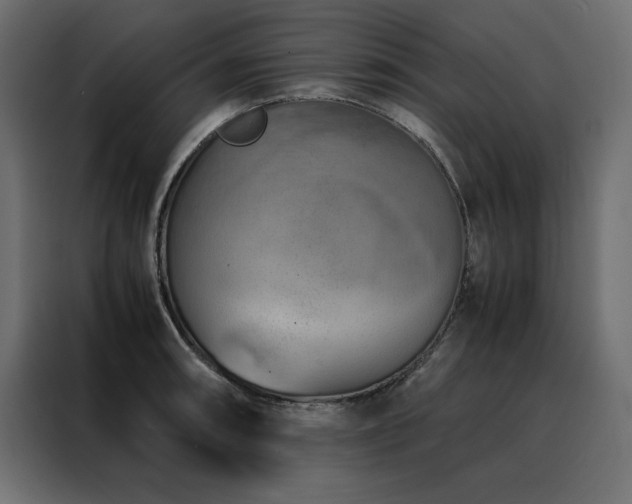 X0000088461090200705221337