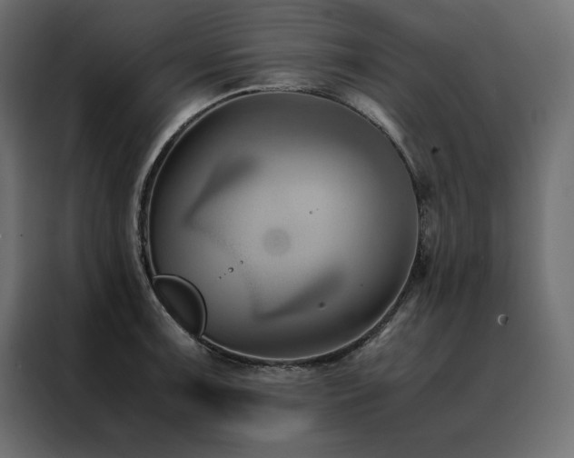 X0000088461091200705221337