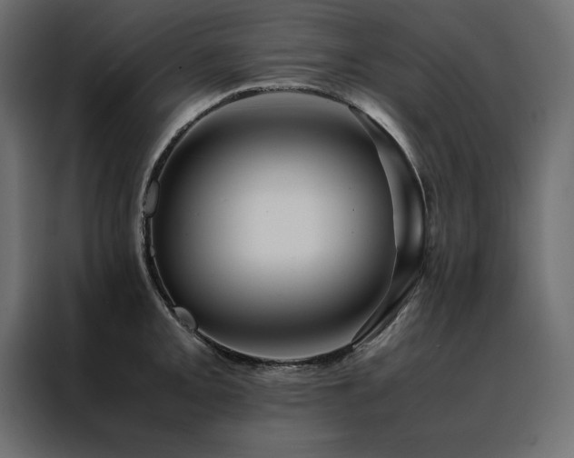 X0000088461093200705221337