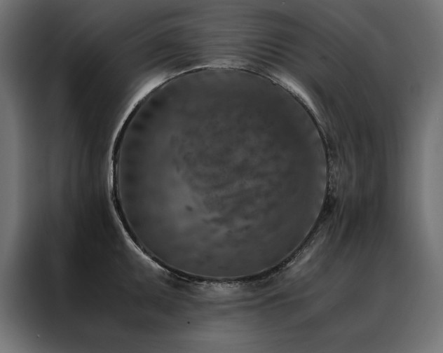 X0000088461095200705221337
