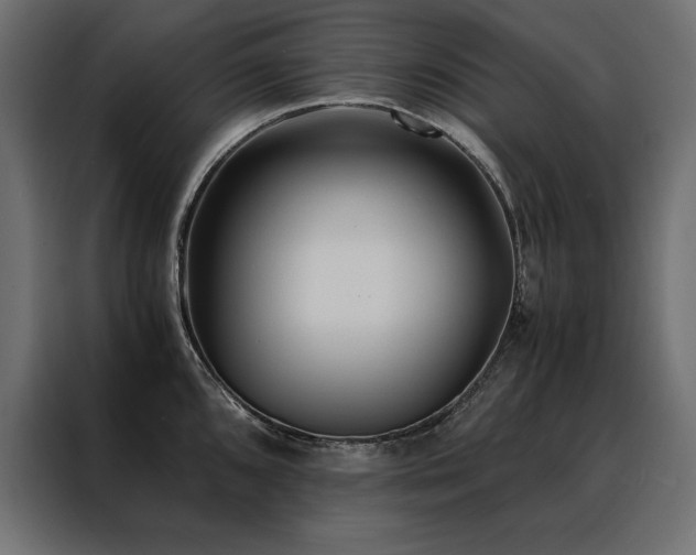 X0000088461096200705221337