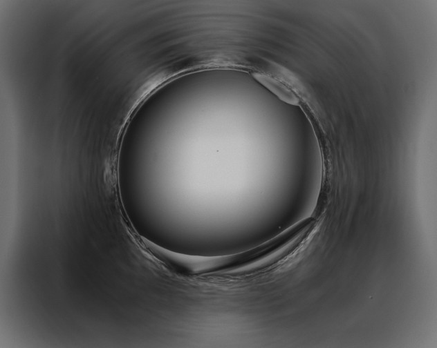 X0000088461097200705221337