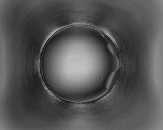 X0000088461100200705221337
