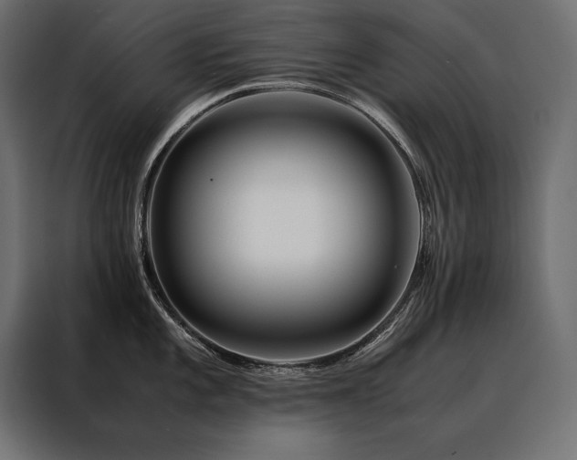 X0000088461101200705221337