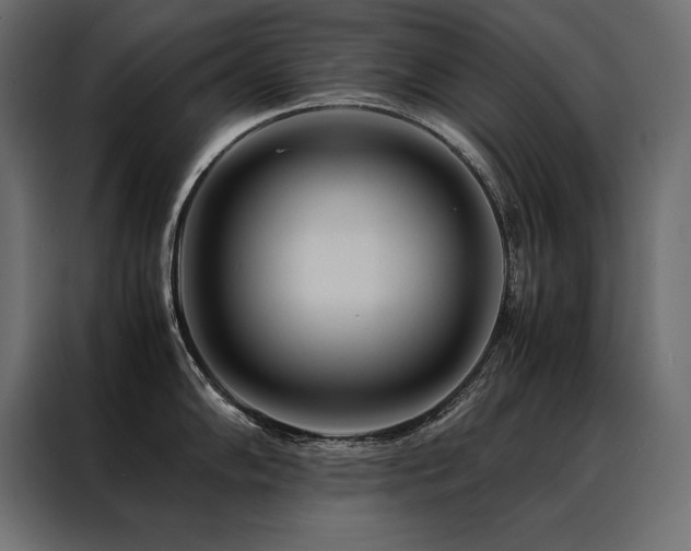 X0000088461102200705221337