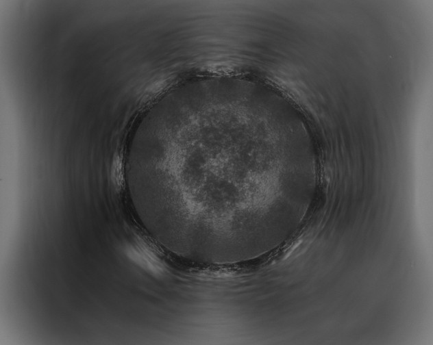 X0000088461106200705221337