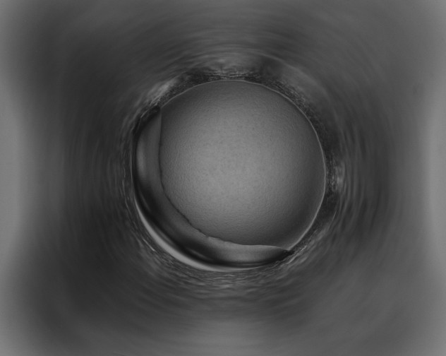 X0000088461108200705221337