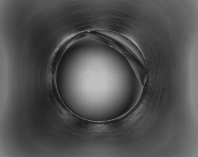X0000088461115200705221337