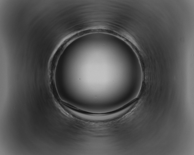 X0000088461116200705221337