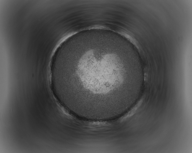 X0000088461117200705221337