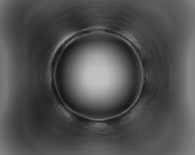 X0000088461119200705221337