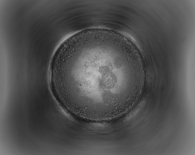 X0000088461125200705221337