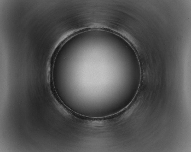 X0000088461126200705221337
