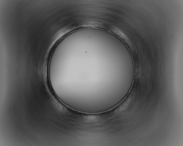 X0000088461130200705221337