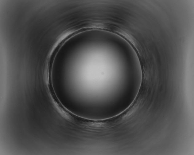 X0000088461131200705221337