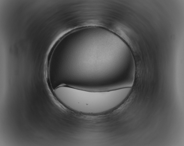 X0000088461132200705221337