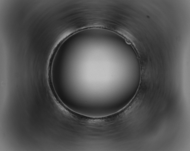 X0000088461135200705221337