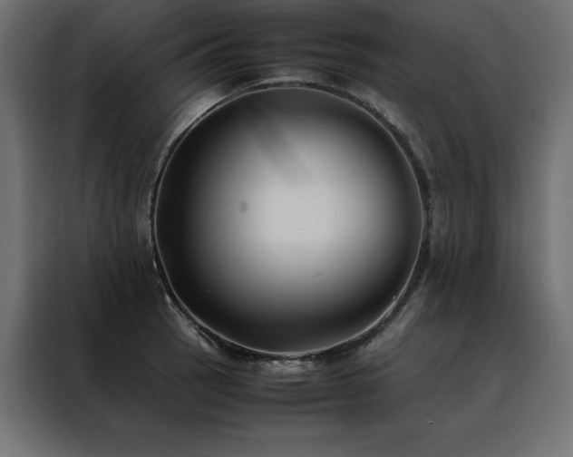X0000088461137200705221337